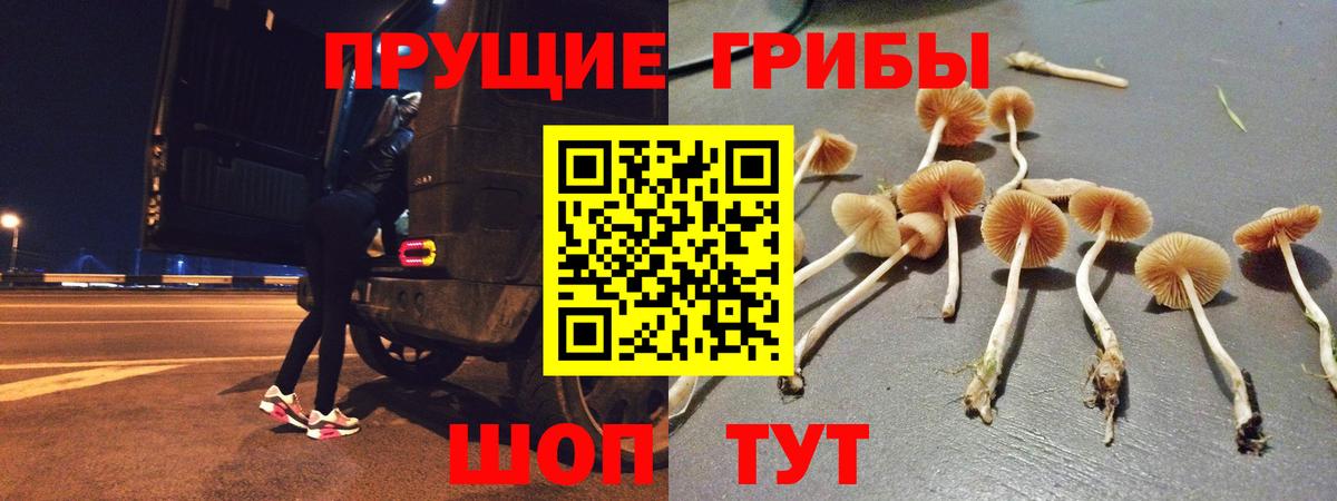 Мирный  Галлюциногенные грибы Magic Shrooms  Вход с VPN 