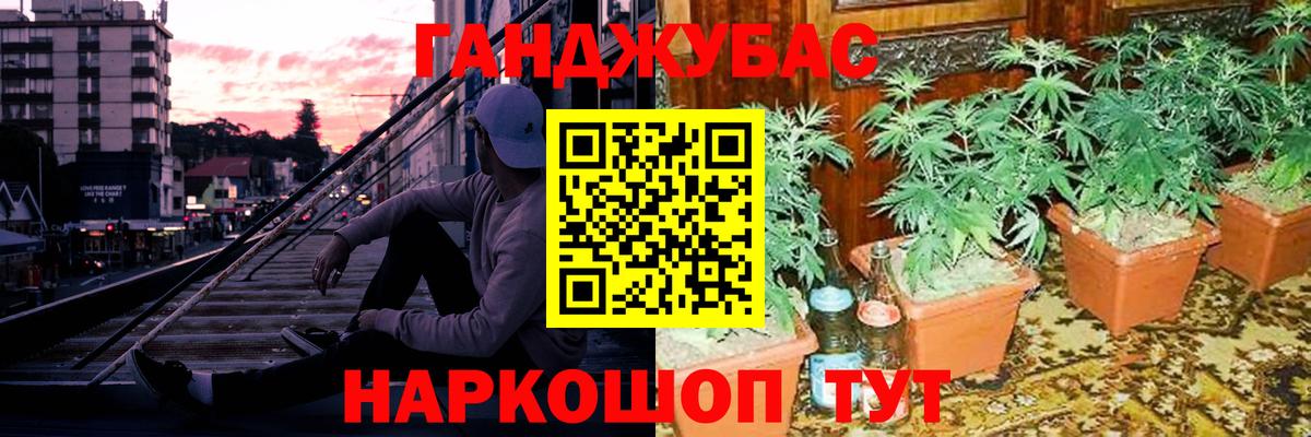 Каннабис ГИДРОПОН Мирный